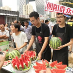 朝阳群众吃瓜网,吃瓜网背后的社区力量