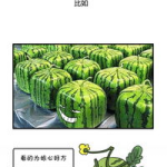 武汉吃瓜群众网站官网,揭秘城市生活百态，尽享民间趣味