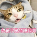 小姐姐我想。,探索时尚潮流与个性魅力