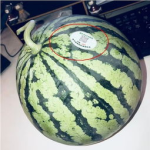 快乐网红吃瓜,揭秘娱乐圈幕后真相