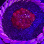 粉色生日投影写真,生日投影写真浪漫呈现