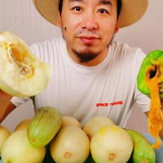 网红吃瓜泡泡,揭秘娱乐圈幕后真相