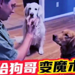 网红狗哥爆料吃瓜视频,揭秘吃瓜视频背后的惊人真相！